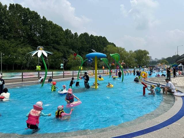 서울 서초구의 2024년 양재천 수영장 운영사진. 서초구청 제공