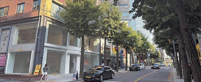 11일 오후 가로수길 곳곳에는 문을 닫은 점포가 많았으며 오가는 사람이 적어 거리가 매우 한산하다.  정주원 기자