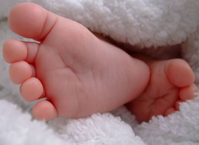 [서울=뉴시스] 18일 뉴시스 취재를 종합하면 서울과 부산, 세종, 인천, 울산, 대구, 경기, 광주, 대전 등 지자체에서 예산 소진을 이유로 임신 사전건강관리 신청 접수를 중단했다. (사진=뉴시스 DB) 2025.06.16. photo@newsis.com *재판매 및 DB 금지