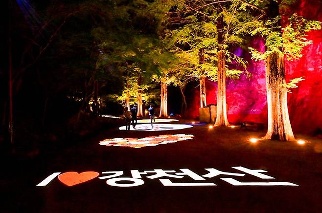 [순창=뉴시스] 야간개장 중인 순창 강천산군립공원 풍경. *재판매 및 DB 금지