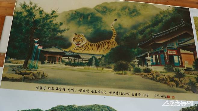 반야사 호랑이 형상을 설명하는 그림. 산자락의 실제 모양은 높이 80m, 길이 200m에 달하는데 각도를 잘 잡아서 보면 호랑이 모습과 꽤 비슷하다 영동|김재범 기자 oldfield@donga.com