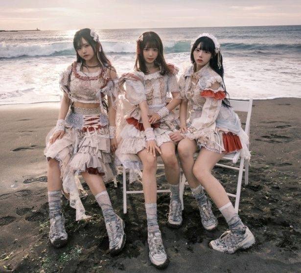 티브이데일리 포토