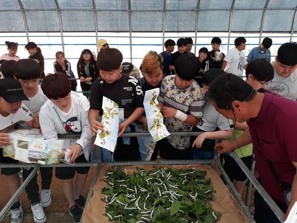 [사진=교동 장독대마을]