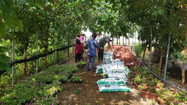 [사진=교동 장독대마을]