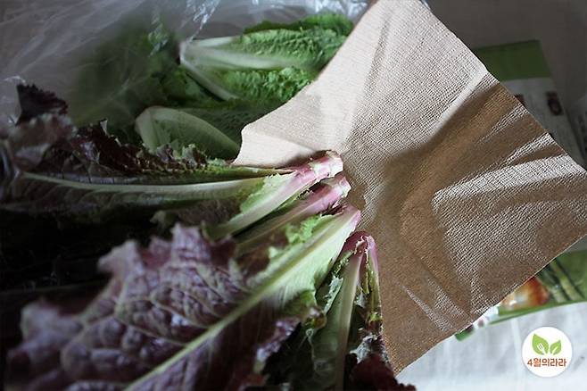 키친타월에 싸는 쌈채소