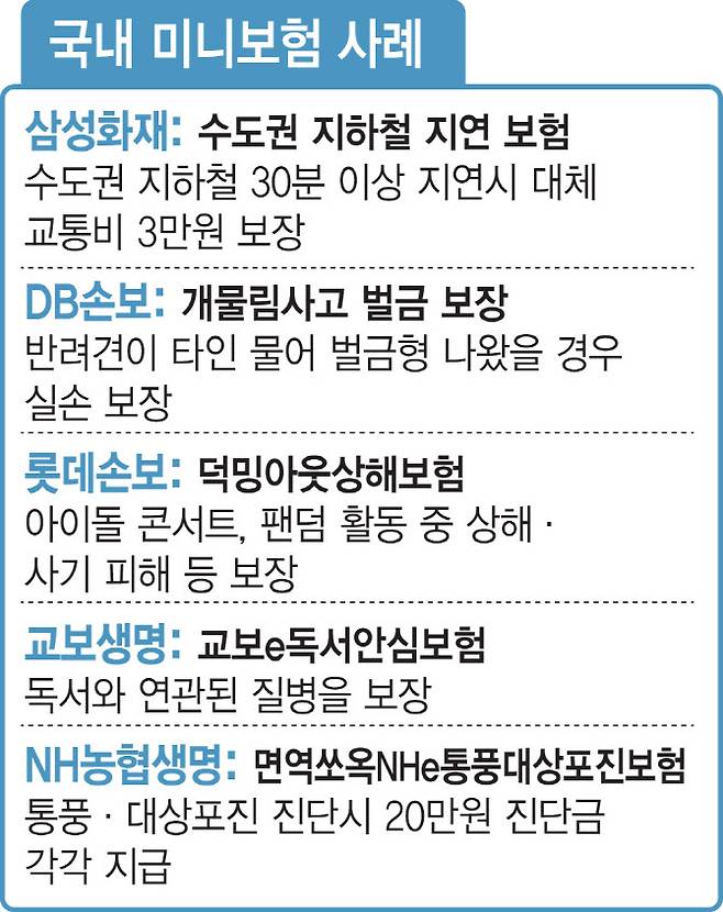 [이데일리 김일환 기자]