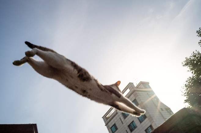 058f8919bc866af17cff9ee75f9f2e2d151f4c94ffba985d3de1e3e12351