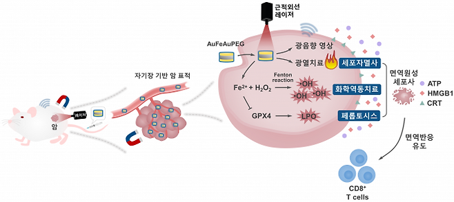 한국표준과학연구원 연구팀이 개발한 다기능성 나노물질의 치료 플랫폼 모식도. 표준연 제공
