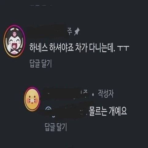 IMG_2279.jpeg 바로 옆에 차가 다니는데 하네스 하셔야죠...gif