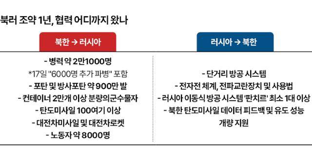 그래픽=신동준 기자