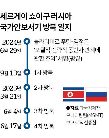 그래픽=신동준 기자