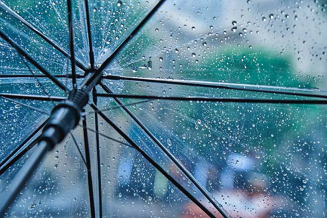 사진은 기사 내용과 무관. /사진=게티이미지뱅크