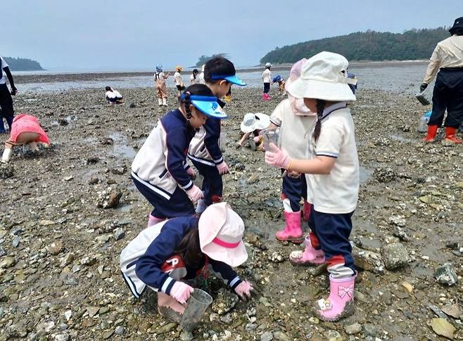 전남 여수 소라면 사곡리 ‘갯벌노을마을’에서 갯벌 체험을 하고 있는 아이들. 전남도