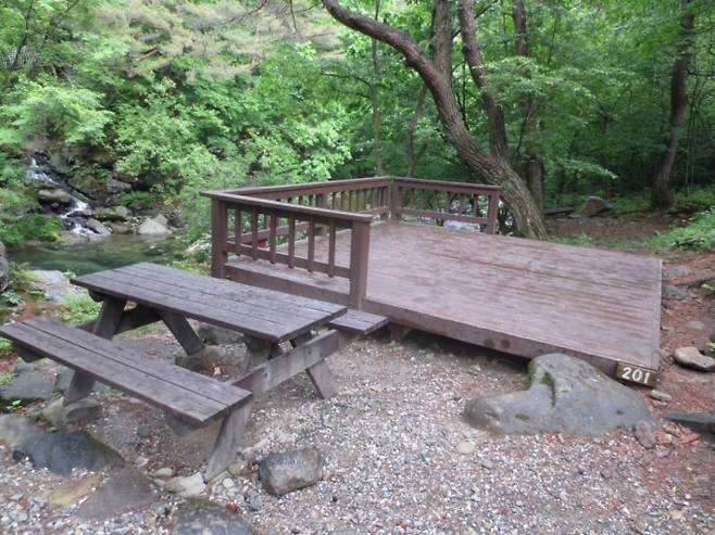 가리왕산휴양림-데크/사진제공=국립자연휴양림관리소