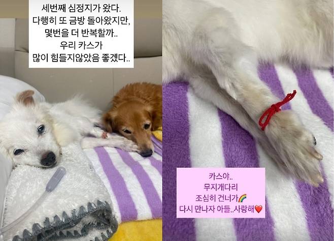 [사진출처 = 김하영 인스타그램]