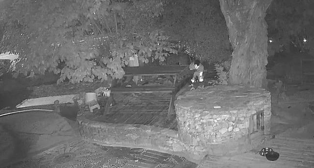 지난 8일 오전 1시15분쯤 경남 거제 한 식당에서 해병대 현역 군인 등 남성 3명이 비비탄총을 난사해 개를 숨지게 하는 사건이 발생했다. 연합뉴스.