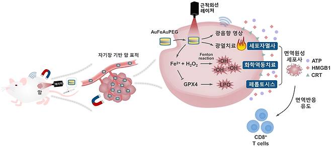 다기능성 나노물질 치료 모식도  [한국표준과학연구원 제공. 재판매 및 DB 금지]