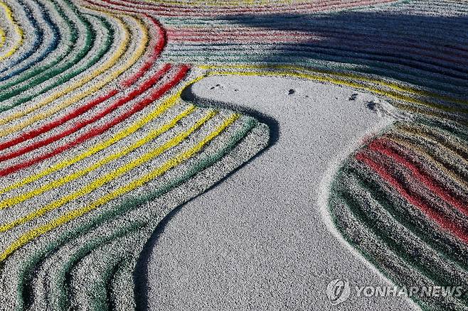 교토 고다이지의 정원 [EPA=연합뉴스 자료사진]