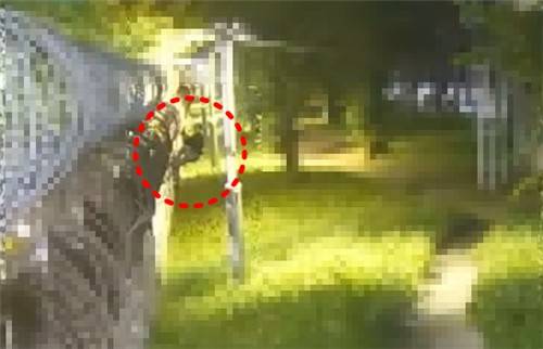 월담 시도 모습 [인천항보안공사 제공. 재판매 및 DB 금지]