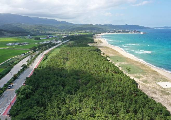 고래불 호텔 사업 부지 [경북도 제공. 재판매 및 DB 금지]