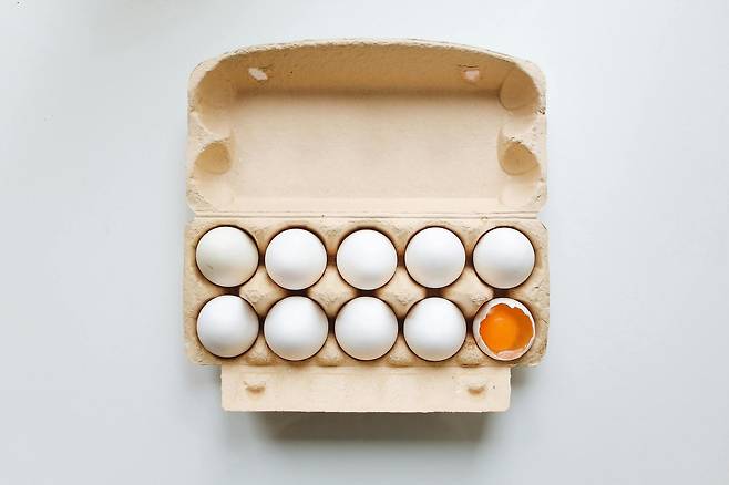 백색 날계란