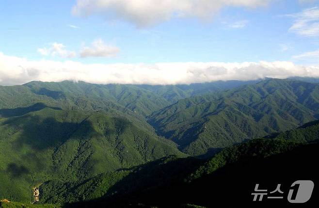 백두대간 중 설악산 향로봉 전경. (산림청 제공.재판매 및 DB금지)/뉴스1