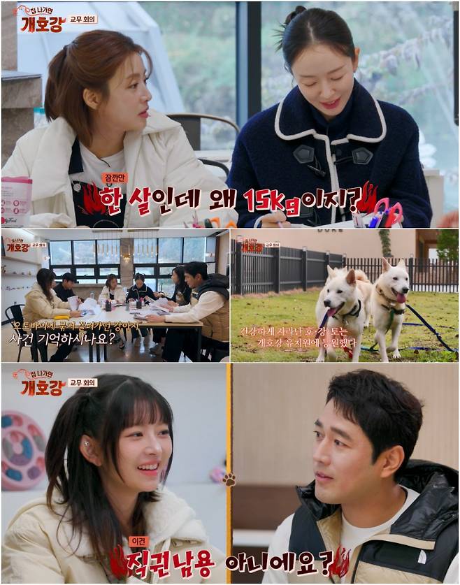 ‘집 나가면 개호강’ 레이, 1일 원장 된다... “직권남용 아냐?” 반응 폭발 (제공: JTBC ‘집 나가면 개호강’)
