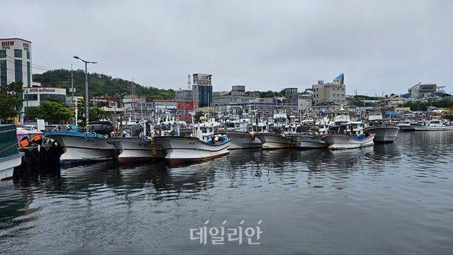 경북 포항시 구룡포항에 어선들이 정박해 있다. ⓒ데일리안 장정욱 기자
