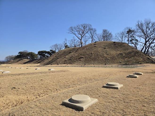 월성의 성벽 (출처 : 직접 촬영)