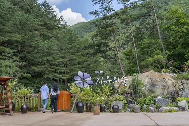 삼척의 대표 웰니스 관광지인 ‘활기 치유의 숲’.