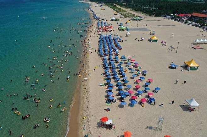 동해 망상해수욕장. 동해시 제공