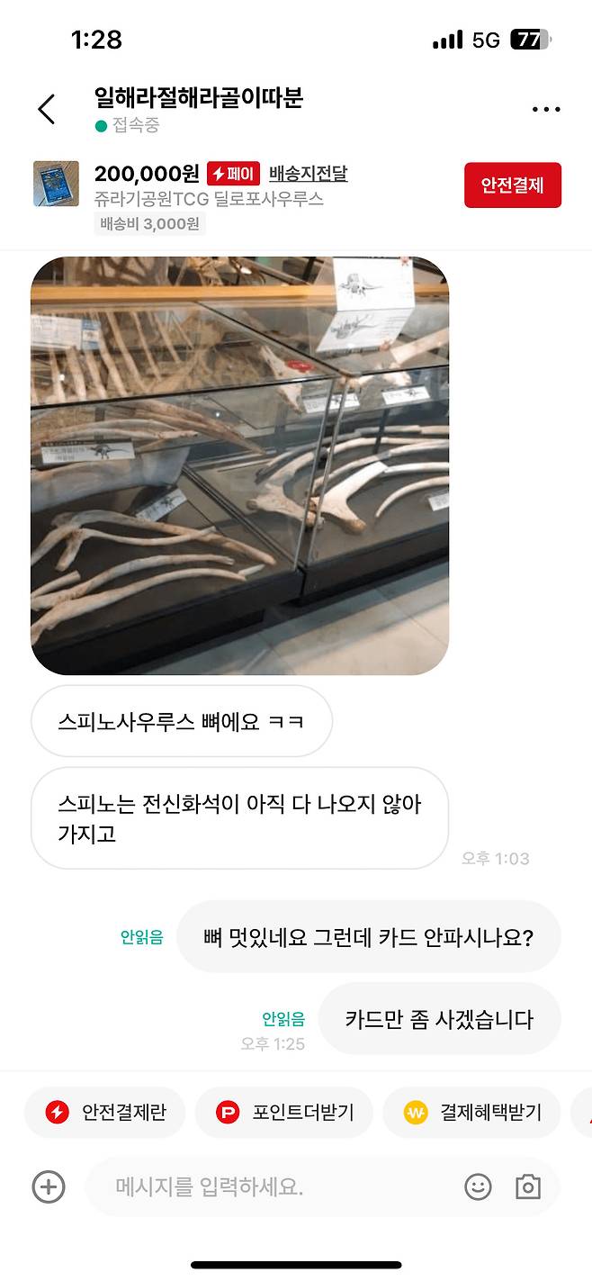 번개장터 극한의 공룡빌런 ㄷㄷ .jpg