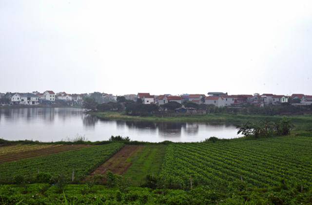 지난 5일 도널드 트럼프 가족 기업 '트럼프 오가니제이션'이 대규모 리조트 단지를 개발하기로 한 베트남 흥옌성 꽈이쩌우현의 한 마을 모습. 단지는 현 내 7개 마을에 걸쳐 조성된다. 흥옌=허경주 특파원