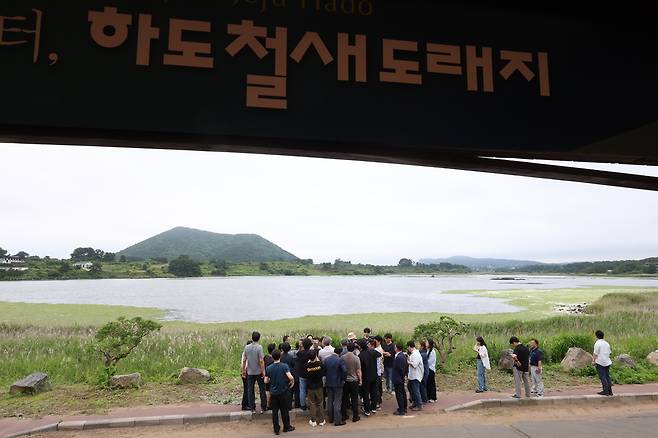 19일 제주시 구좌읍 하도철새도래지에서 제2공항 건설사업 환경영향평가협의회 위원들이 현장을 살펴보며 의견을 나누고 있다. 연합뉴스