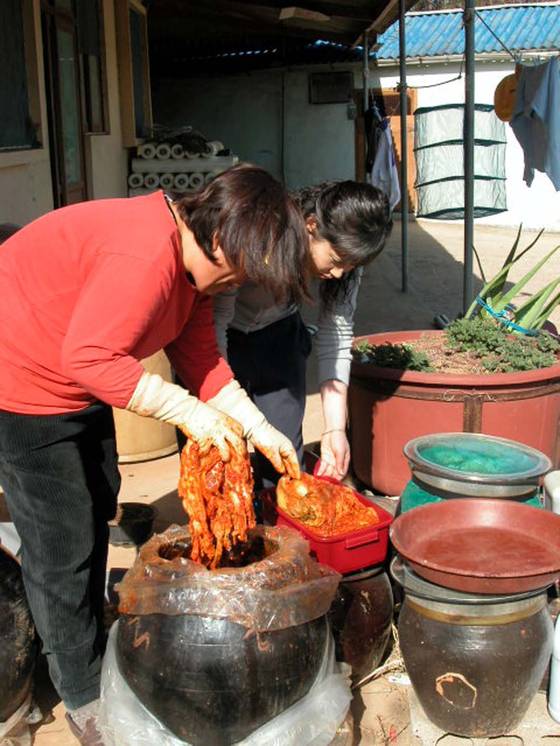 Haenam residents take out kimchi from a jangdok, or earthenware pot, that has been left to ferment during the winter. [YONHAP]