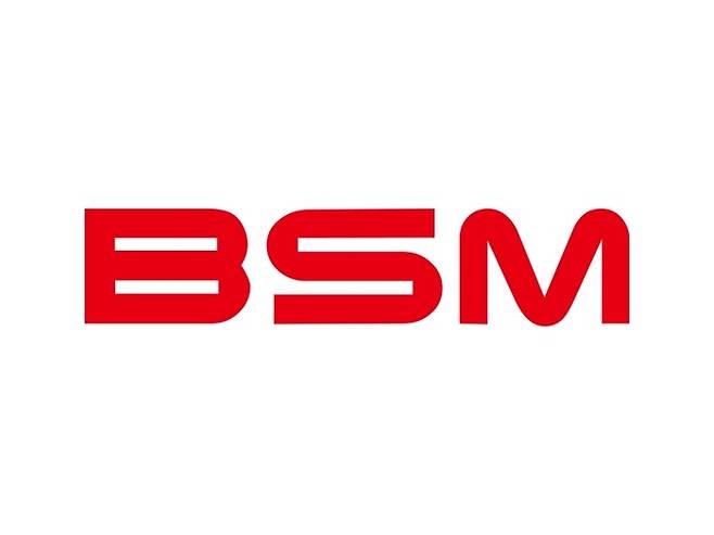 < 이미지 제공 : ㈜BSM신소재 >