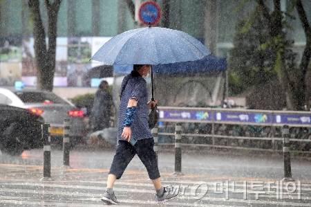 (대구=뉴스1) 공정식 기자 = 16일 오전 대구 수성구 달구벌대로에 많은 비가 쏟아지자 시민들이 우산을 펼쳐 비를 피하며 길을 건너고 있다. 2025.6.16/뉴스1  Copyright (C) 뉴스1. All rights reserved. 무단 전재 및 재배포,  AI학습 이용 금지. /사진=(대구=뉴스1) 공정식 기자