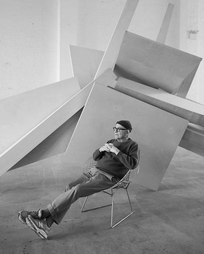 조엘 사피로. 페이스 갤러리 *재판매 및 DB 금지