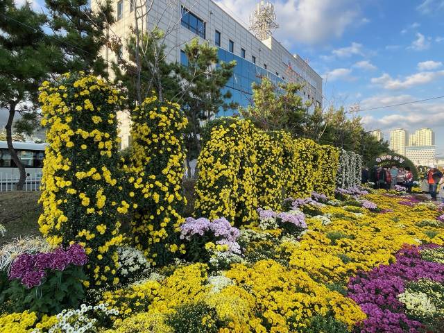 제24회 마산가고파국회축제 전경. 사진 제공=창원시