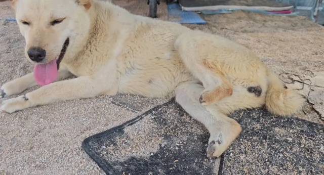 케어 인스타그램