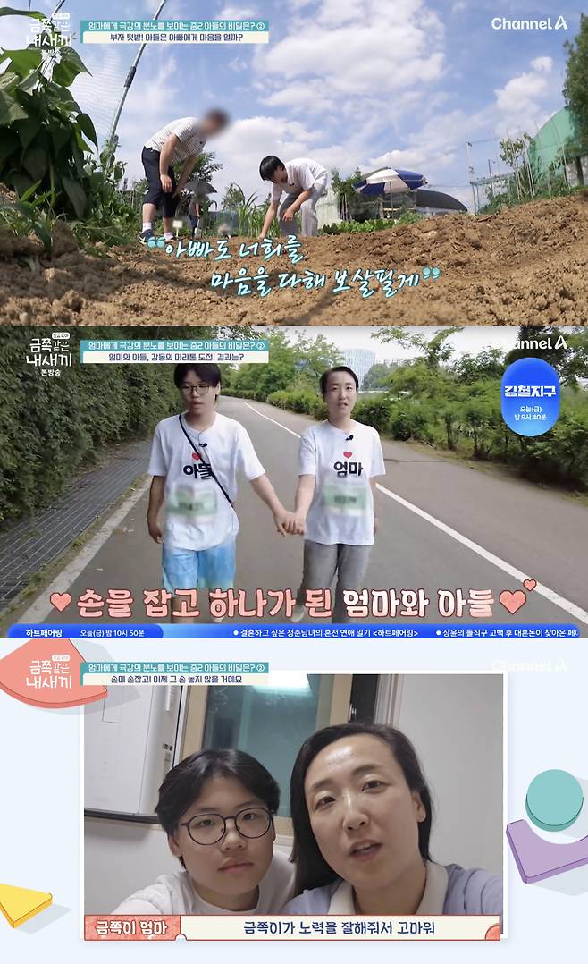 /사진='금쪽같은 내 새끼' 방송화면 캡쳐