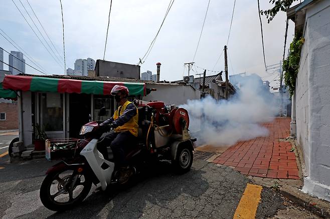 지난 19일 대구 중구 남산1동 일대에서 중구보건소 관계자가 여름철 모기 매개 감염병 대비 방역 작업을 하고 있다./뉴시스