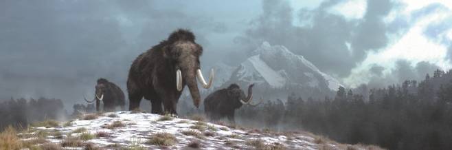 플라이스토세 공원의 최종 목표는 1만 년 전 플라이스토세의 생태계를 다시 시베리아에 구현하는 것이다. 이를 위해 이들은 아쿠티아 말부터 시작해 바이슨 등 대형 초식동물을 시베리아에 도입하고 최종적으로는 매머드를 다시 시베리아에 돌려놓을 계획이다. 게티이미지뱅크 제공&nbsp;