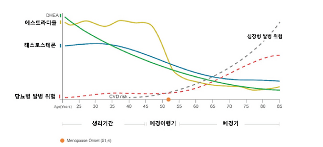 키 성장을 멈추게 하는 성조숙증, 치료하면 과연 키가