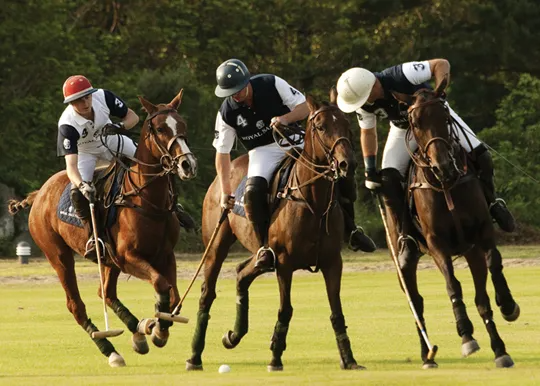 폴로 경기 모습 [출처 나무위키]