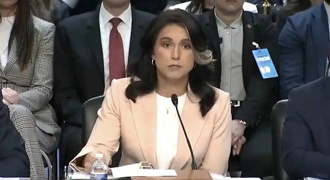 지난 3월 미 상원에서 이란의 핵 개발 관련 질의에 답변하고 있는 털시 개버드 미 국가정보국(DNI) 국장 <이미지=털시 개버드 X 계정>