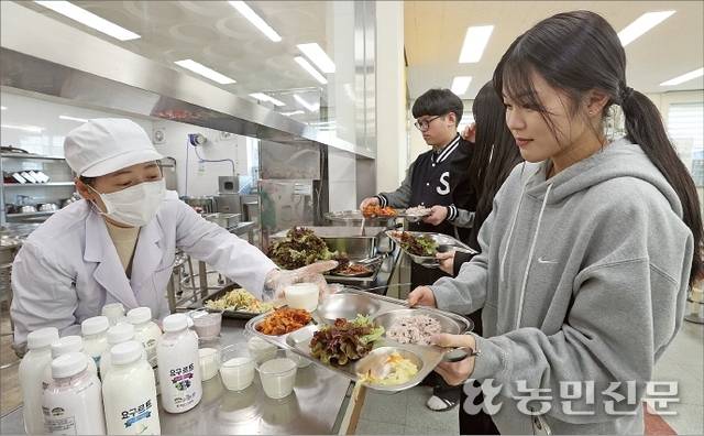 학교급식실에서 학생들이 지역에서 생산된 유제품을 받고 있다. 전북 임실군은 지역 내 학교급식에 주 3회 유제품을 무상 지원하고 있다.