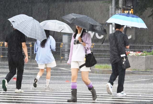 사진=오승현 기자