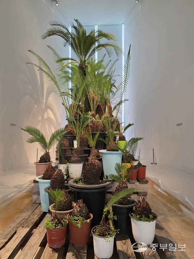 복창민 작가의 작품 'Single family'. 이준도기자