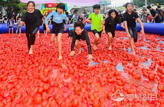 22일 오후 광주시 퇴촌면 광동로 일원에서 열린 '제23회 퇴촌토마토 거리축제'에서 '황금 토마토를 찾아라' 이벤트에 참가한 어린이들이 토마토 풀장에서 즐거운 시간을 보내고 있다. 임채운기자